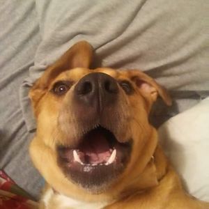 Meet your Posher, Phyllis